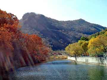 新澳天天开奖资料大全旅游团，赛富通重庆